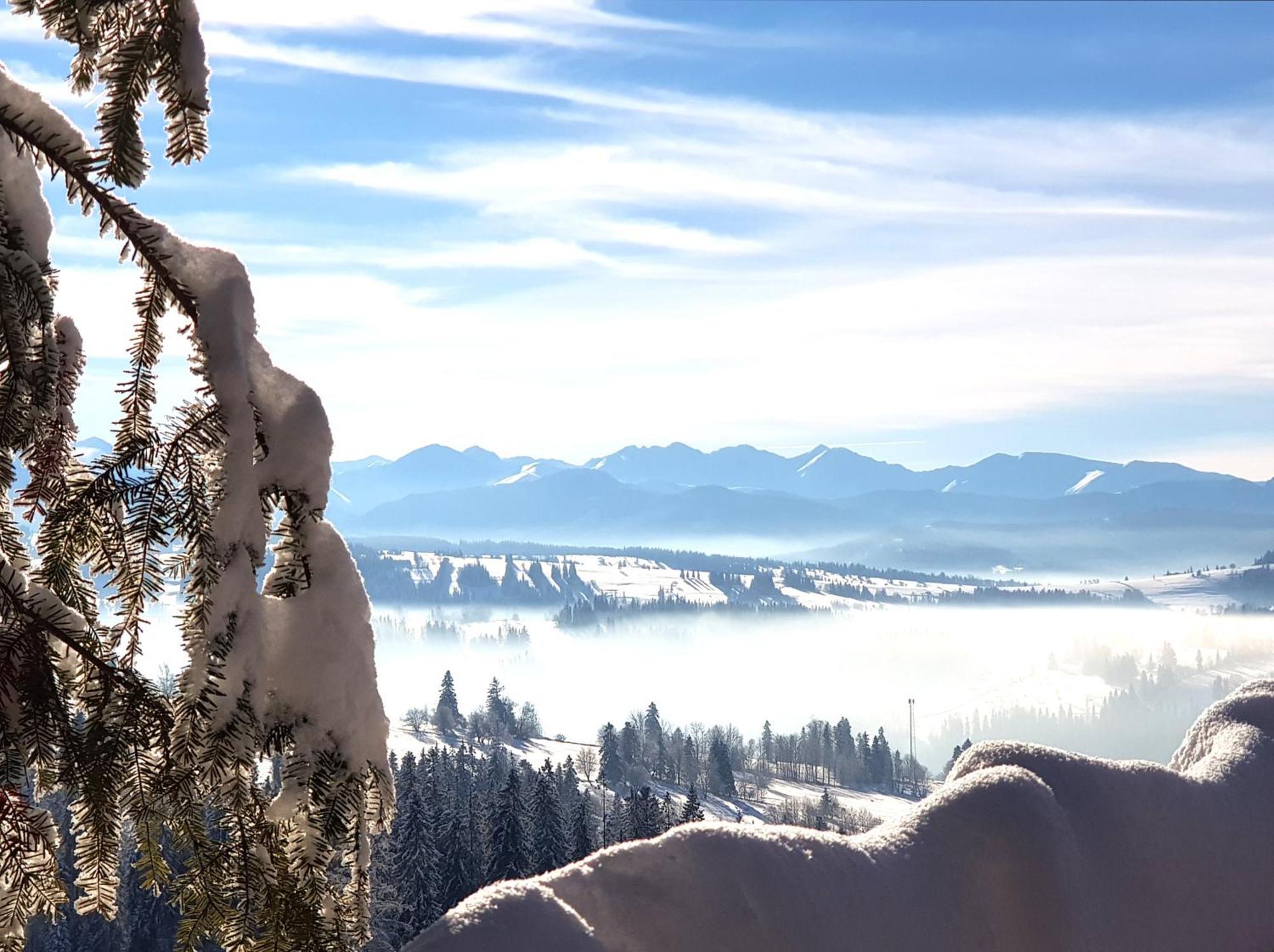 Dom Gorski Klimat-Willa 160 M2 Z Wewnetrzna Sauna Finska, Znizki Do Term Goracy Potok Zakopane Zewnętrze zdjęcie